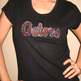 Gators_1a_small
